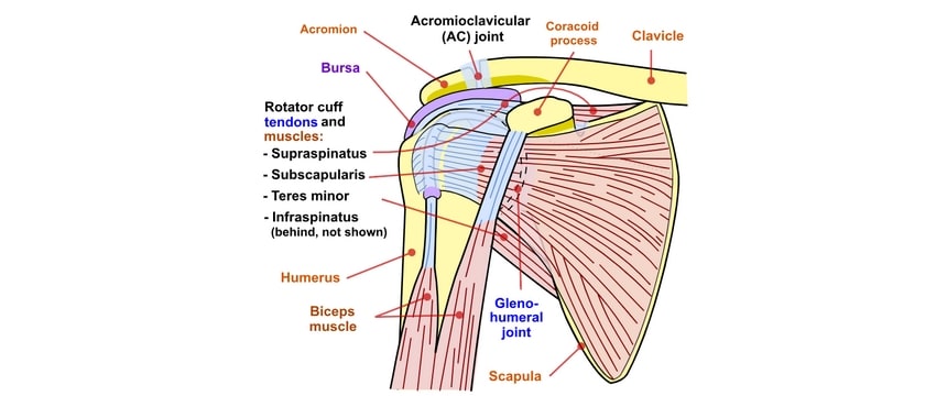 AC Joint Diagram